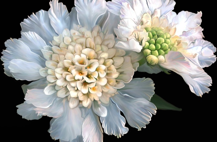 Pincushion