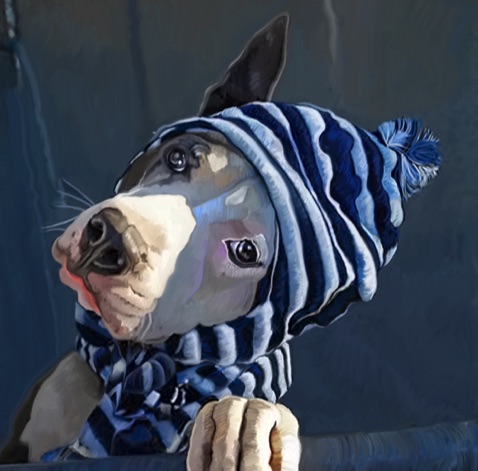 Pit Bull Mix